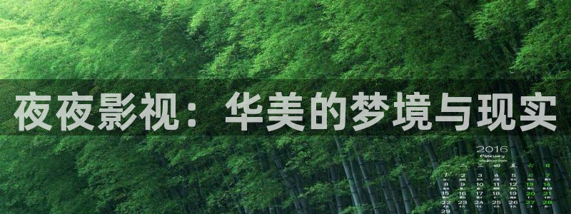 9d轨道影院怎么样：夜夜影视：华美的梦境与现实