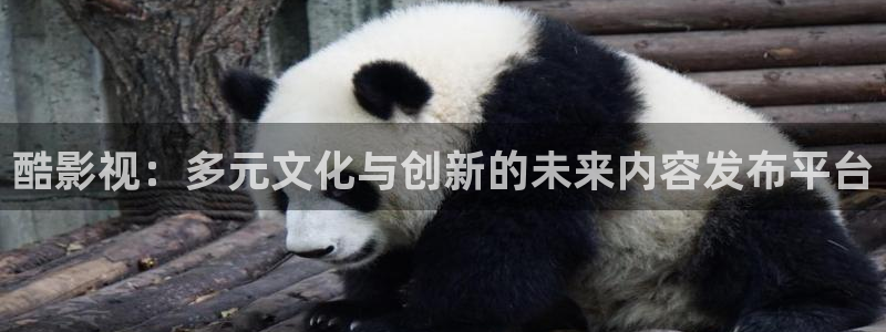 轨道影院免费播放电视剧入口：酷影视：多元文化与创新的未来内容发布平台