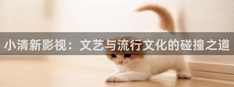 轨道影院是什么样的：小清新影视：文艺与流行文化的碰撞之道