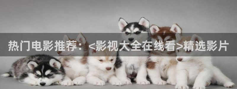 影视轨道：热门电影推荐：<影视大全在线看>精选影片