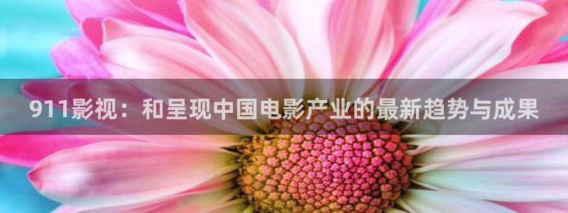 环幕轨道飞行影院：911影视：和呈现中国电影产业的最新趋势与成果