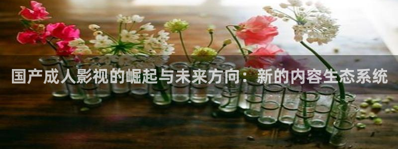 轨道式影院：国产成人影视的崛起与未来方向：新的内容生态系统