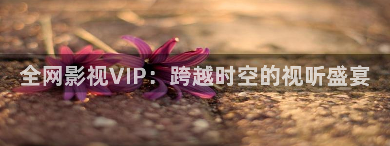 轨道影院投资多少钱：全网影视VIP：跨越时空的视听盛宴