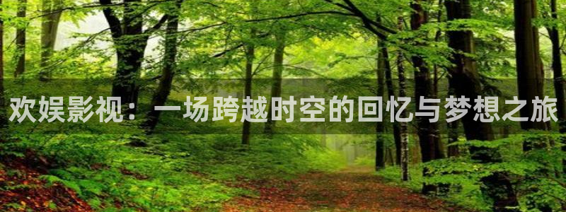 轨道影院是什么样的：欢娱影视：一场跨越时空的回忆与梦想之旅