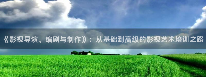 轨道影院是什么样的：《影视导演、编剧与制作》：从基础到高级的影视艺术培训之路